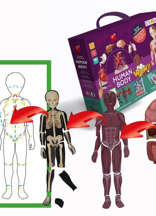 SET HUMAN BODY with augmented reality7 photo