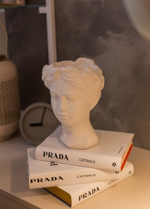 Venus2 photo