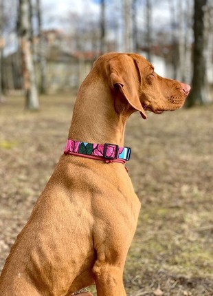Dog collar and leash set Bloom M+10ft (300cm)5 photo
