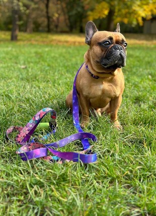 Dog collar and leash set Violet M+6ft (180cm)6 photo