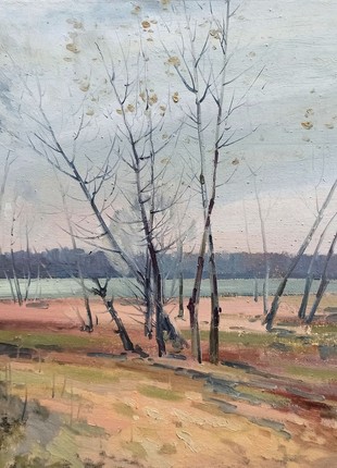 Reserved for Mike Oil painting Autumn landscape Peter Tovpev nDobr190