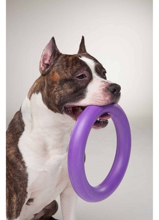 PULLER Standard Ø28 cm (11") - dog fitness tool for medium and large breeds9 photo