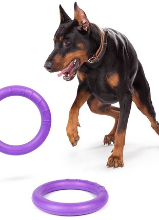 PULLER Standard Ø28 cm (11") - dog fitness tool for medium and large breeds5 photo