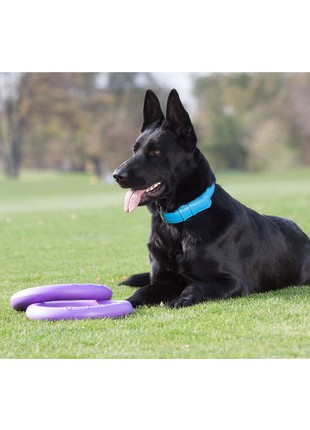 PULLER Standard Ø28 cm (11") - dog fitness tool for medium and large breeds10 photo