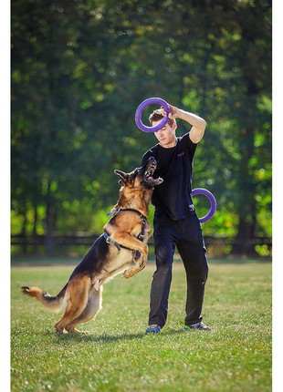 PULLER Standard Ø28 cm (11") - dog fitness tool for medium and large breeds7 photo