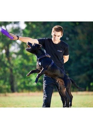 PULLER Standard Ø28 cm (11") - dog fitness tool for medium and large breeds4 photo