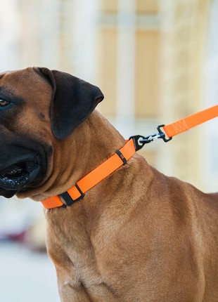 Collar COLLAR EVOLUTOR for dogs of medium, large and VERY large breeds5 photo