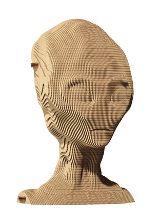 3D eco sculpture Puzzle ALIEN5 photo