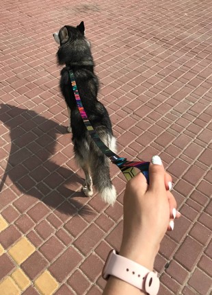 Nylon dog leash BAT&RO "Jungle" 150cm (5ft)6 photo