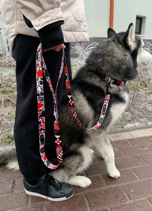Nylon dog leash BAT&RO "Monster" 300cm (10ft)5 photo