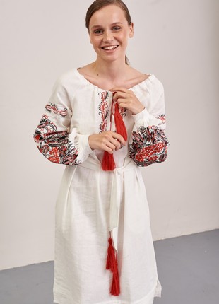 Embroidered dress in Ukrainian style MEREZHKA "Petrakovka"4 photo