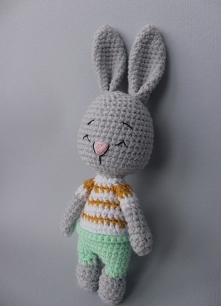 Pocket Rabbit2 photo