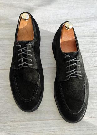 Suede men's shoes. men's shoes black suede. choose the best!1 photo