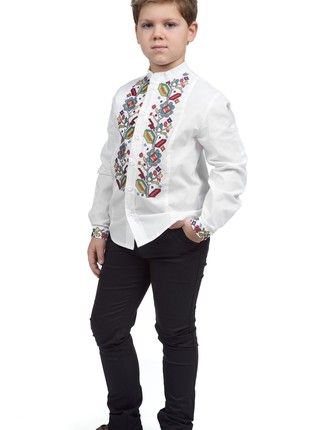 Embroidered shirt for boys 243-20/09