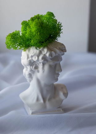 Flowerpot david, pot with moss, david vase, sculptures, david casing, home decoration, planter pots