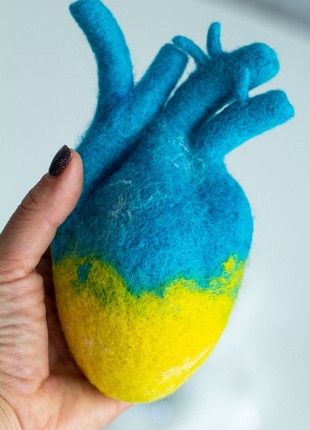 Anatomical heart "With Ukraine in the heart" in the color of the Ukrainian blue-yellow flag6 photo