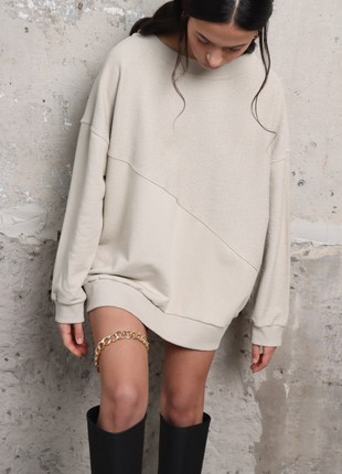 Sweatshirt REVERSE5 photo
