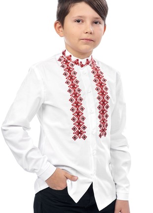 Embroidered shirt for boys 375-19/09