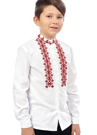 Embroidered shirt for boys 375-19/092 photo