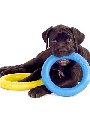 Dog fitness tool PULLER Midi Colors of freedom, diameter 19,5 cm4 photo