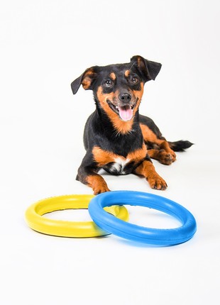 Dog fitness tool PULLER Mini Colors of freedom, diameter 18 cm4 photo