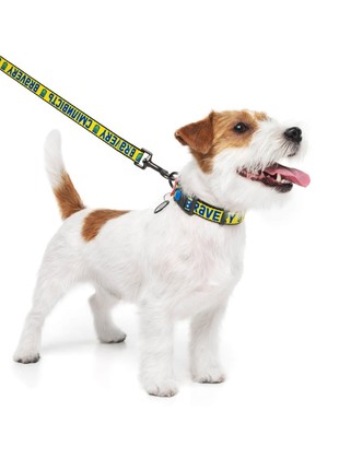 WAUDOG Nylon dog collar with QR-passport, "Bravery" design, plastic fastex, S, W 15 mm, L 25-35 cm6 photo