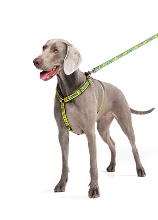 WAUDOG Nylon dog H-harness with QR-passport "Bravery" design, plastic fastex, size L6 photo