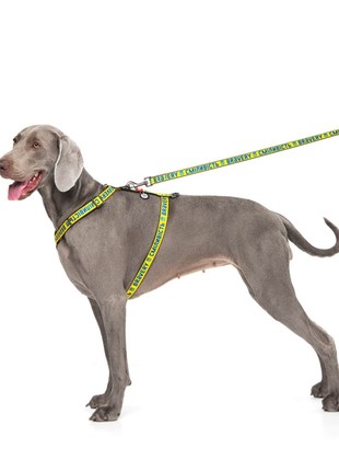 WAUDOG Nylon dog H-harness with QR-passport "Bravery" design, plastic fastex, size L2 photo