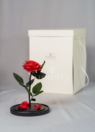 rose in glass dome4 photo