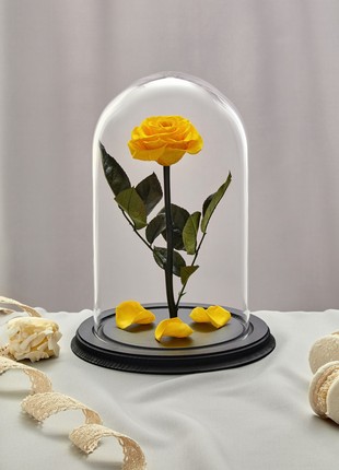 rose in glass dome yellow