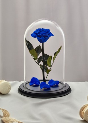 rose in glass dome blue, Flowers, Birthday gift