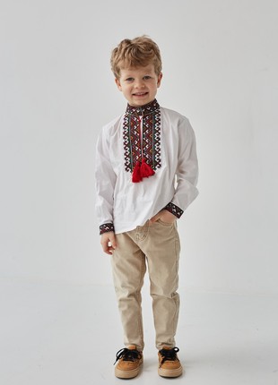 Embroidered shirt for a boy "Mushko"