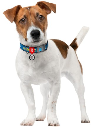 Dog nylon collar WAUDOG Nylon, design “Patron”,  plastic fastex, S, 15 mm W, 23-35 cm L2 photo