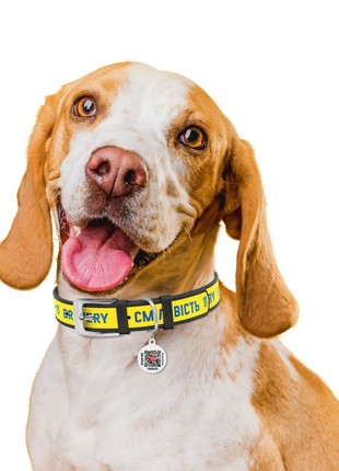 WAUDOG Design genuine leather dog collar, "Bravery" design, XXS, W 12 mm, L 20-28 cm Black2 photo