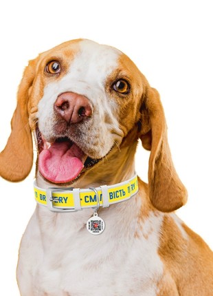 WAUDOG Design genuine leather dog collar, "Bravery" design, XXS, W 12 mm, L 18-24 cm White2 photo