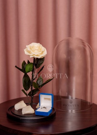 rose in glass dome vanilla1 photo