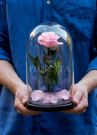 rose in glass dome light pink4 photo