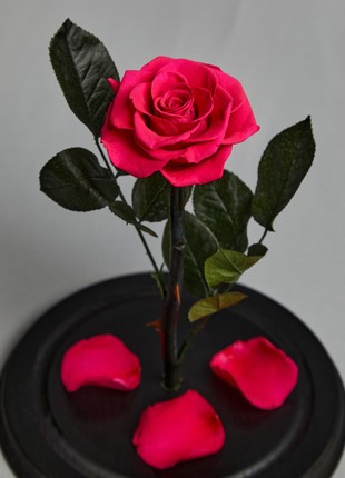 rose in glass dome fuchsia3 photo