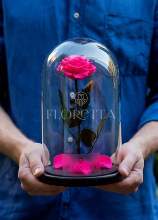 rose in glass dome fuchsia2 photo