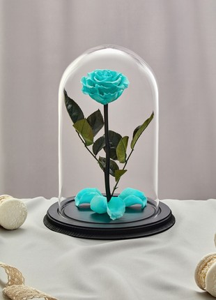 rose in glass dome tiffany