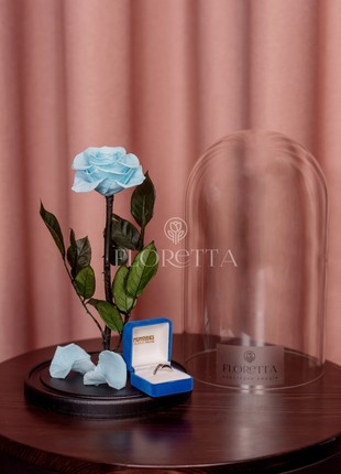 rose in glass dome blue