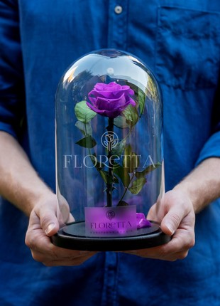 rose in glass dome bright purple1 photo