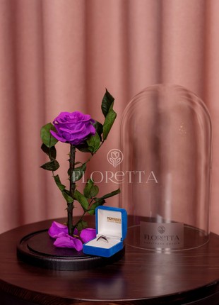 rose in glass dome bright purple2 photo