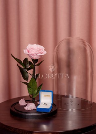 rose in glass dome light pink3 photo