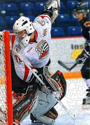 Wooden Jigsaw Puzzle - Hockey- 323 pieces