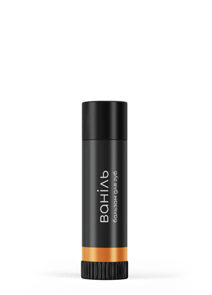 Lip Balm Vanilla (nourishing and protection)
