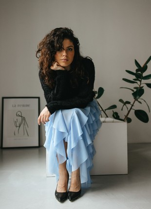 Skirt Seventeen  2031.52972 photo
