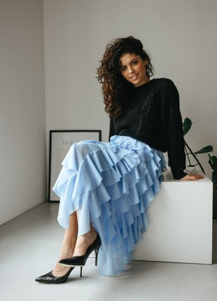 Skirt Seventeen  2031.52974 photo