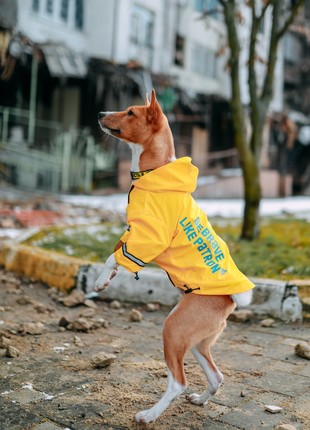 Raincoat yellow Moss ORIGINAL (XS-M)
