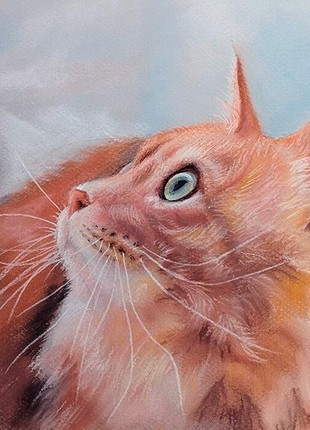 Red cat. Soft pastel, pastel pencils. Original